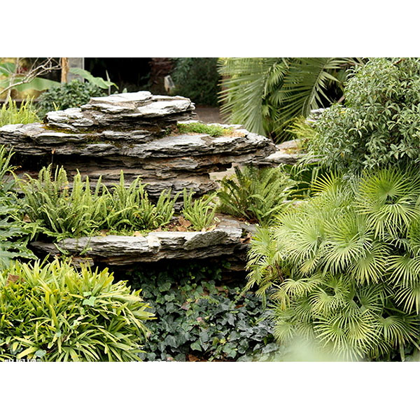 Greening Project Display 10
