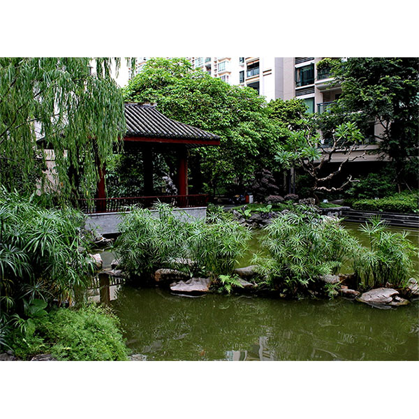 Greening Project Display 11